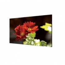 Pantalla LCD 49 Pulgadas FHD, Bizel 3,5mm, DS-D2049LU-Y Hikvision