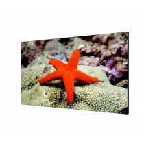 Monitor LCD 46 Pulgadas 1080P 3,5mm DS-D2046LU-Y Hikvision