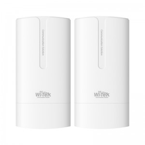 CPE (PAR) 2FE 802.11b/g/n  2.4Ghz 300Mbps 1Km Cloud WI-CPE110-KIT V2 Wi-Tek